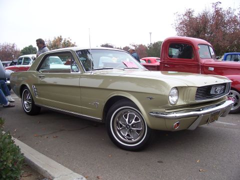 2002 Ford Mustang - A classic gold Ford Mustang is parked at an outdoor event, with other vehicles visible in the background.