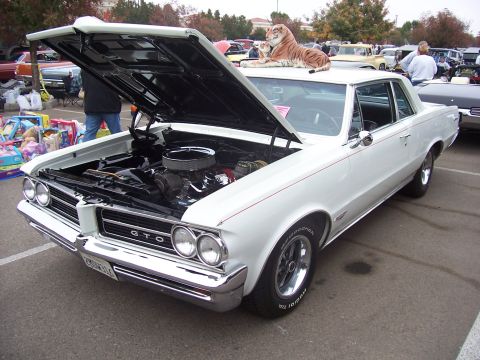 2002 Ford Mustang - A white 1964 Pontiac GTO coupe is displayed with its hood open, and a tiger toy rests on its roof.