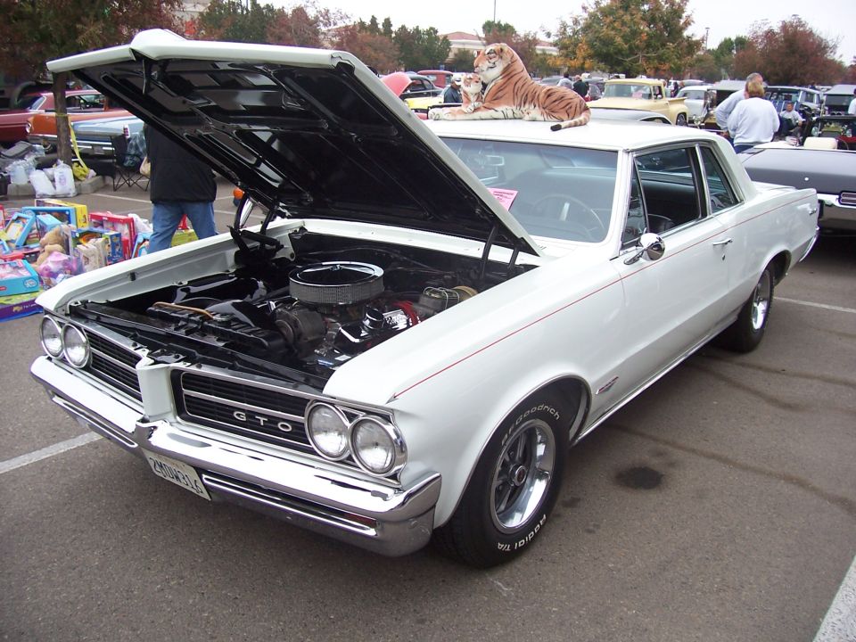 White 1964 Pontiac GTO coupe with hood open, showing engine. Tiger toy on roof