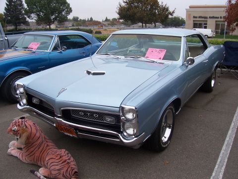 2002 Ford Mustang - A light blue 1966 Pontiac GTO is parked next to a blue Chevrolet Camaro, with a stuffed tiger in the foreground.