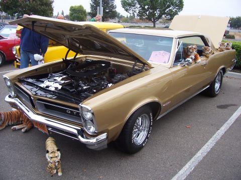 2002 Ford Mustang - A gold 1965 Pontiac GTO is displayed with its hood and trunk open, stuffed tigers inside and around the vehicle.