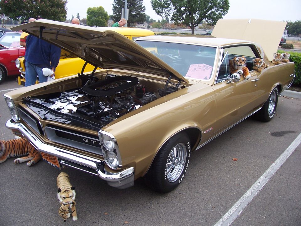 Gold 1965 Pontiac GTO with stuffed tigers, hood open