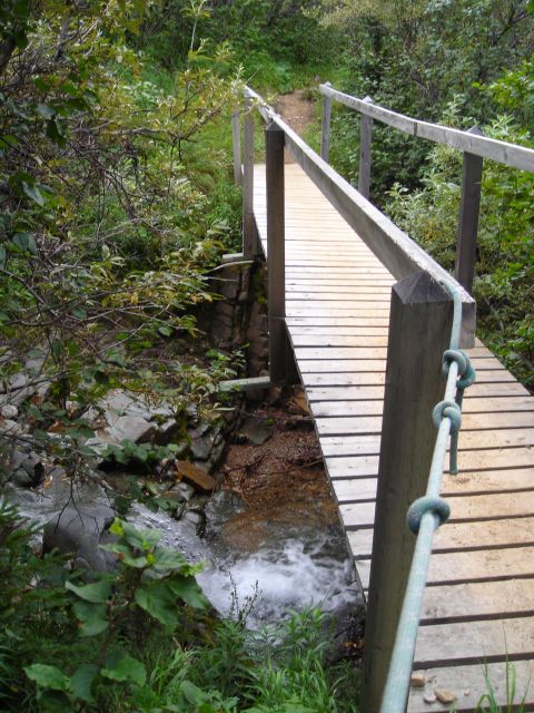 2003 Jeep TJ - A wooden footbridge crosses a small, rocky stream surrounded by dense green vegetation.