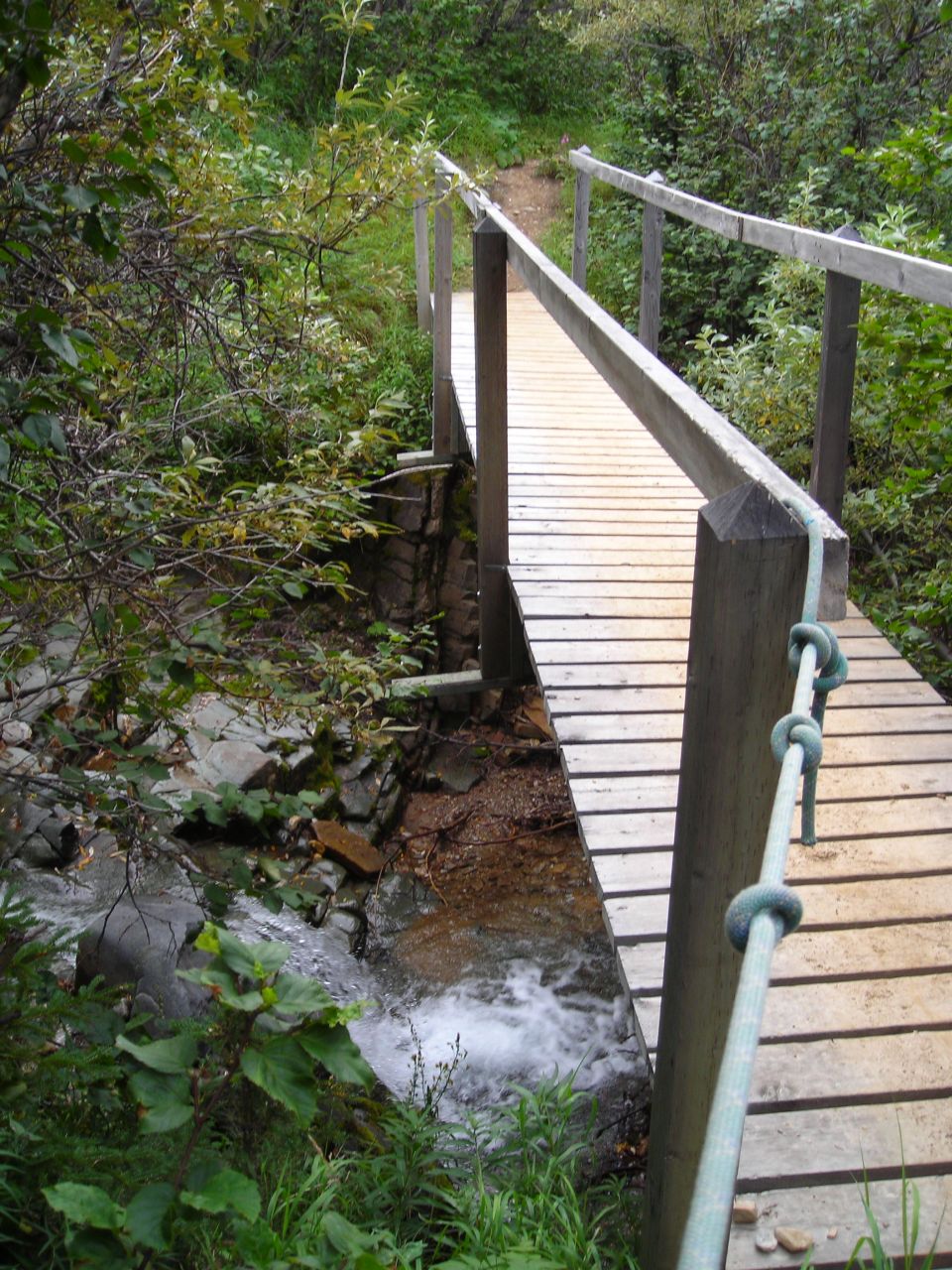 Wooden footbridge over a rocky stream with lush green foliage