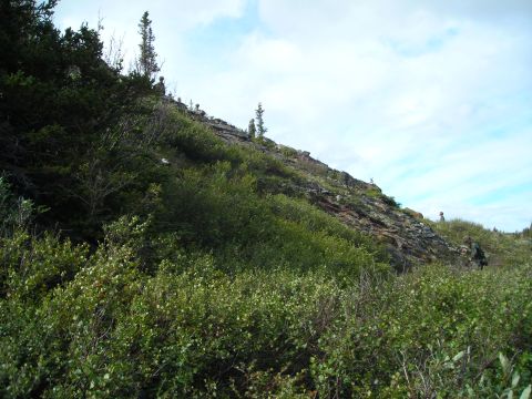 2003 Jeep TJ - A natural landscape a rocky incline with dense green foliage and a partly cloudy sky overhead.
