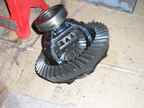 1996 Ford Bronco - open carrier, 3.55's