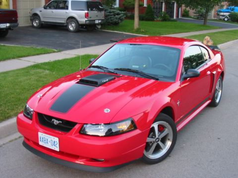 2003 Ford Mustang photo