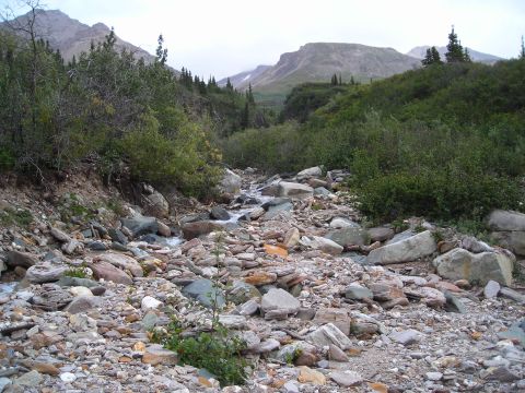 2003 Jeep TJ - A mountain stream flows through a rocky landscape with dense vegetation and distant peaks.