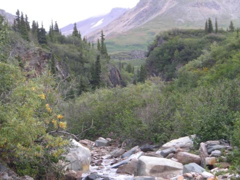 2003 Jeep TJ - A wide view of a mountain valley shows a stream flowing through a rocky bed surrounded by trees and brush.