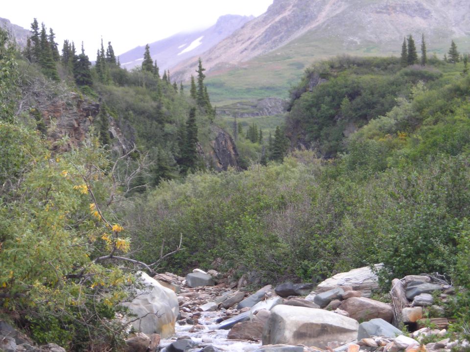Mountain valley with a rocky stream bed and dense green foliage under a cloudy sky