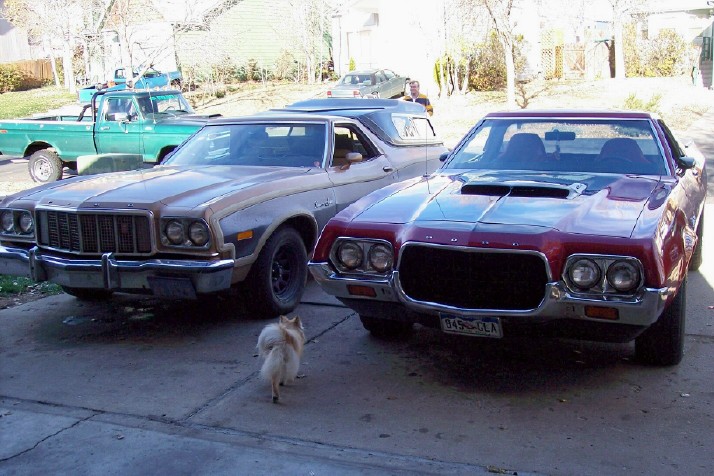 Dark red 1972 Ford Ranchero and brown Ford parked in driveway, small dog nearby