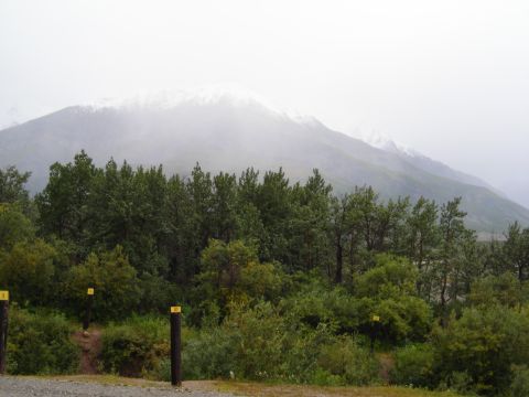 Outdoor scene with trees and a snow-capped mountain under a cloudy sky
