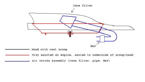 2000 Ford Crown Victoria - Schematic showing cold-air intake routing including cone filter, MAF and engine tray sealed to a cowl-scoop hood.