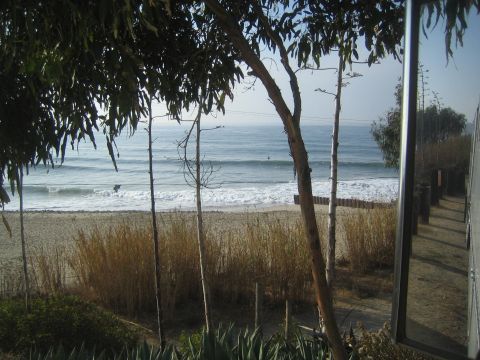 1990 Ford Bronco - View of the ocean and sandy beach framed by tall eucalyptus trees and brush from a coastal bluff.