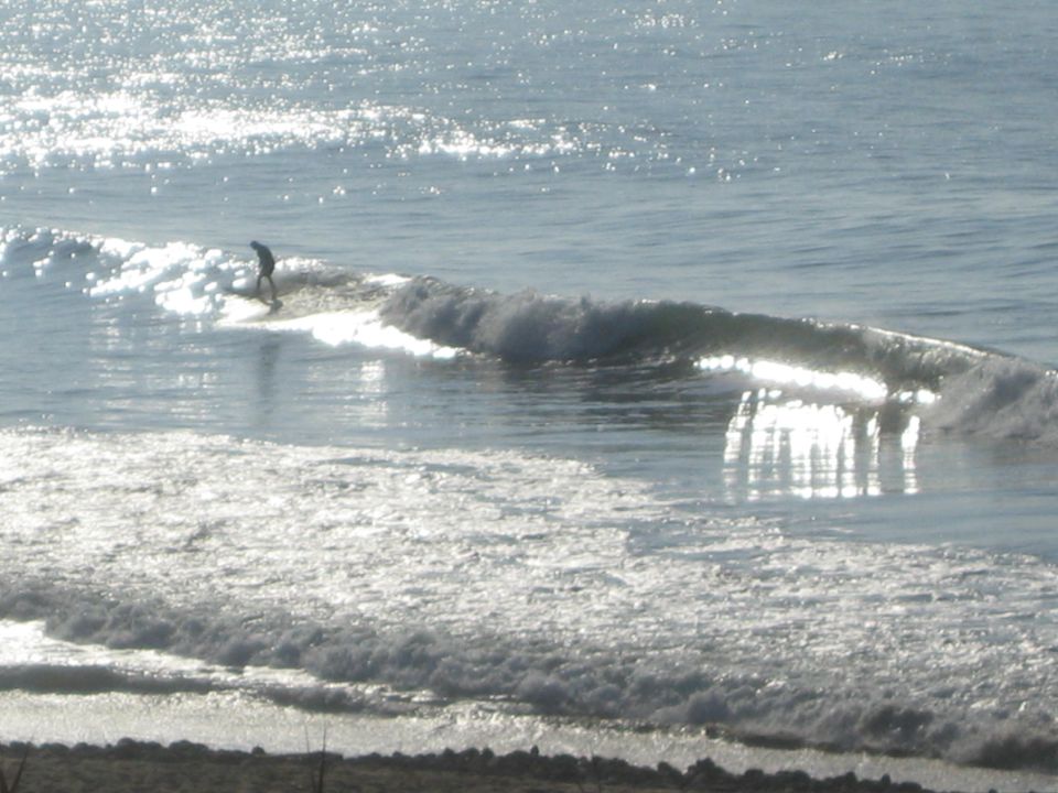 Lone surfer riding the face of a glistening, backlit ocean wave near shore
