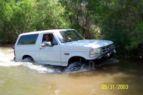 1993 Ford Bronco - A white 1992 Ford Bronco navigates through a shallow body of water surrounded by lush green foliage.