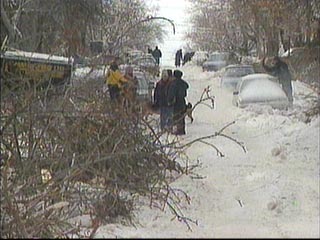 1978 Ford Mustang II - A winter scene shows multiple vehicles partially buried in snow along a tree-lined road.