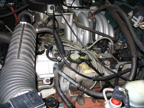 1996 Ford Bronco photo