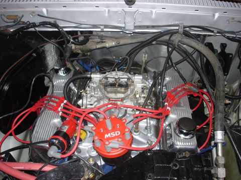 1979 Ford Bronco - Close-up of a V8 engine bay an MSD ignition system and a Holley carburetor.