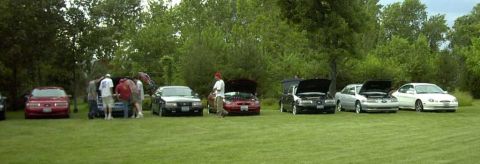 1997 Ford Taurus - A group of Ford Taurus cars are gathered on a lawn, with several hoods open.