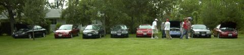 1997 Ford Taurus - A gathering of Ford Taurus sedans, with several models displayed on a grassy lawn.