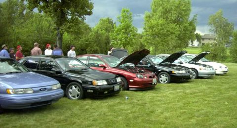 1997 Ford Taurus - A group of Ford Taurus sedans are lined up on a grassy field with trees in the background.