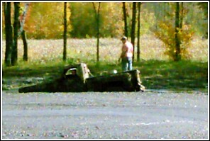 1976 Chevrolet Silverado 2500 - Wrecked truck cab in a field with trees in the background.