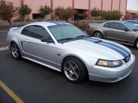 2002 Ford Mustang “02 Zinc Yellow GT”
