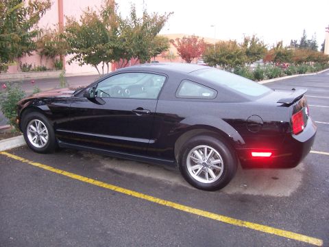 2002 Ford Mustang “02 Zinc Yellow GT”
