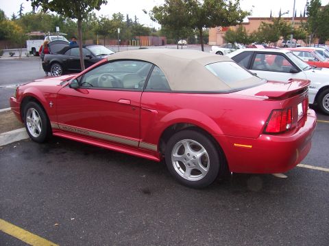 2002 Ford Mustang “02 Zinc Yellow GT”