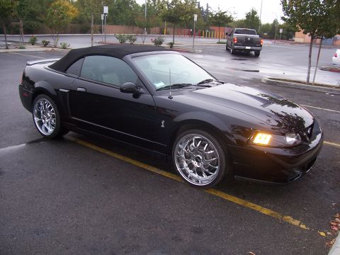 2002 Ford Mustang “02 Zinc Yellow GT”
