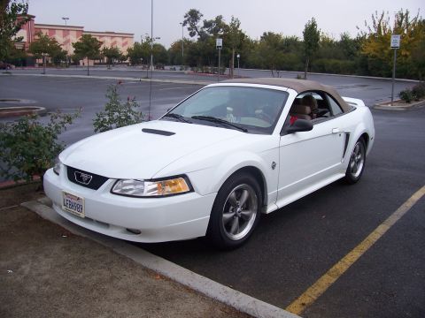 2002 Ford Mustang “02 Zinc Yellow GT”