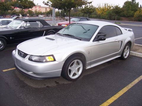 2002 Ford Mustang “02 Zinc Yellow GT”