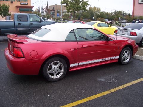 2002 Ford Mustang “02 Zinc Yellow GT”