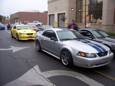 2002 Ford Mustang “02 Zinc Yellow GT”