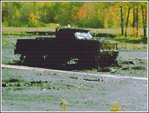1976 Chevrolet Silverado 2500 - A black 1976 Chevrolet Silverado 2500 is stuck in the mud, with trees and foliage in the background.