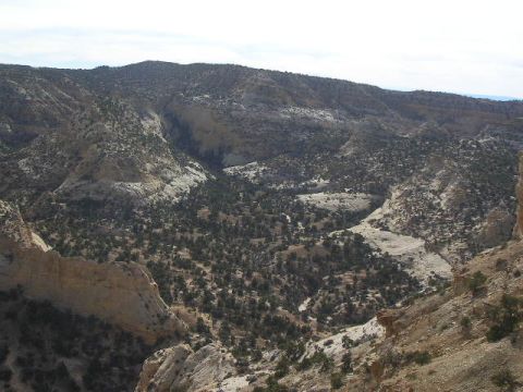 1975 Ford Ranchero - A vast, mountain terrain with sparse vegetation and a winding dry wash below.