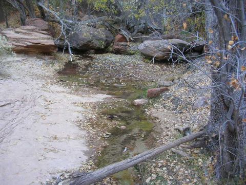 1975 Ford Ranchero - A natural scene depicts a stream bed covered in fallen leaves, with large rocks and trees surrounding it.