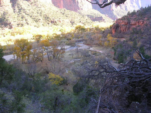 Mountain valley with a river and trees in autumn colors, seen from above