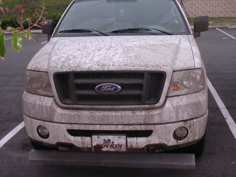 2006 Ford F-150 - A muddy white 2006 Ford F-150 truck is parked facing forward, its front end heavily covered in dirt.