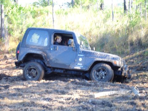 1989 Ford Bronco - A Jeep Wrangler is stuck in the mud on a trail with trees and brush in the background.