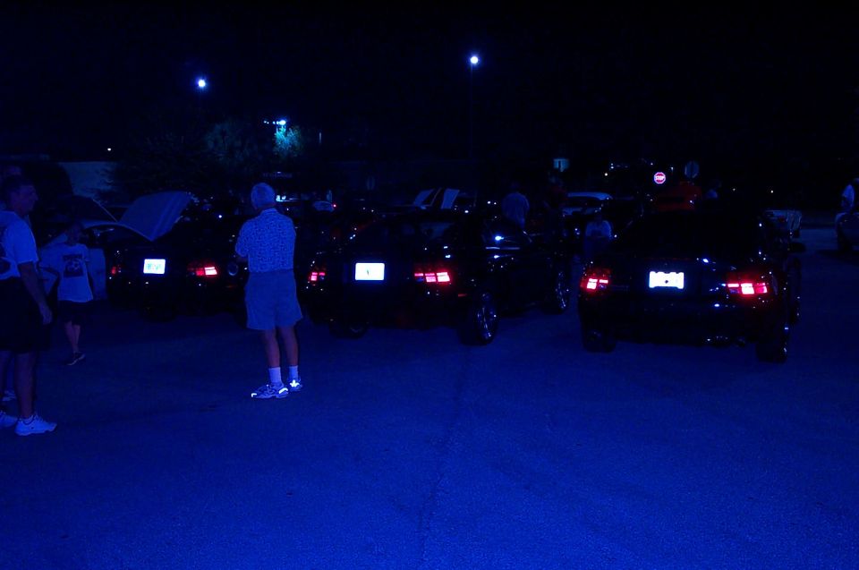 Rear view of multiple 2005 Ford Mustangs at night