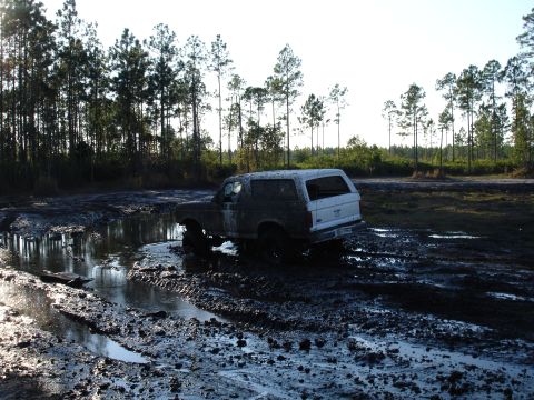 1989 Ford Bronco - A white Ford Bronco navigates a muddy terrain with trees in the background.