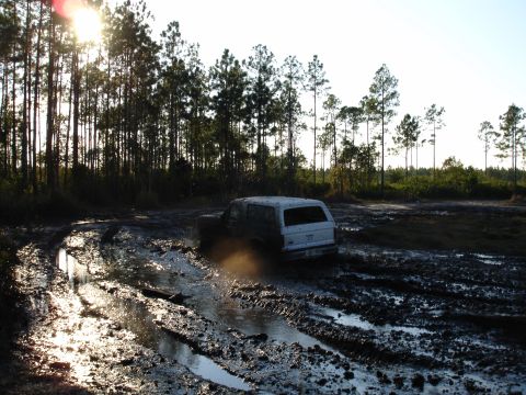 1989 Ford Bronco - SUV struggling through a muddy track in a wooded area.