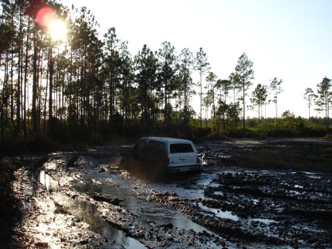 1989 Ford Bronco - A white SUV navigates a challenging muddy terrain under the bright sun, surrounded by tall trees.