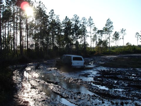1989 Ford Bronco - A white SUV navigates a muddy track with trees lining the path and the sun shining brightly.