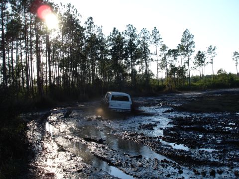 1989 Ford Bronco - A white 1989 Ford Bronco navigates a muddy track surrounded by pine trees.