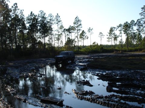 1989 Ford Bronco - An off-road vehicle navigates through a challenging muddy terrain with dense trees in the background.