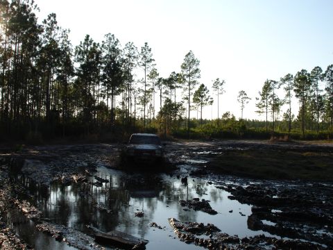 1989 Ford Bronco - A truck navigates a muddy terrain with trees lining the horizon.