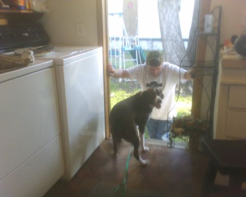 1989 Ford Bronco - A dog and a man stand in a doorway, with the man holding the door open.
